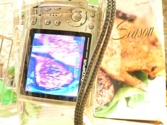 30 Photo Challenge Day 15-21