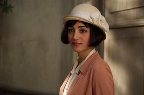 Poulet aux prunes - 5