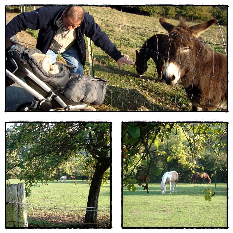 L'anniversaire de Virginie, 16 octobre 2011