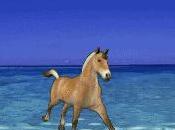 plus belle conquête l'homme celle ......... mental