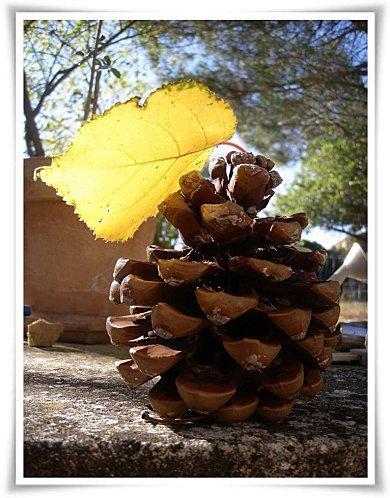 Composition Automnale ... COMPOSITION AUTOMNALE (2)