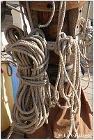 La photo du dimanche #18 !!! La semaine de tous les records !!