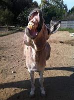 La photo du dimanche #18 !!! La semaine de tous les records !!