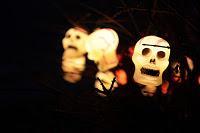 La photo du dimanche #18 !!! La semaine de tous les records !!