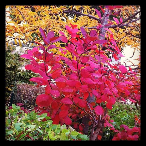 Ma semaine en clichés instagram