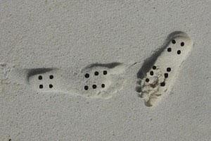 A LA POINTE DU PROGRES / THE PINNACLE OF PROGRESS