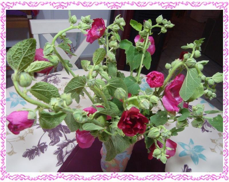 Bouquet de roses trémières