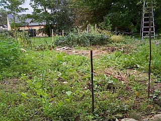 Culture sur buttes, 1ère partie