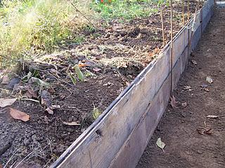 Culture sur buttes, 1ère partie