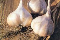 Astuce de la semaine n°15