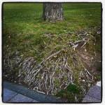 Octobre { Instagr.am }