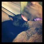 Octobre { Instagr.am }