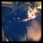 Octobre { Instagr.am }