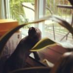 Octobre { Instagr.am }