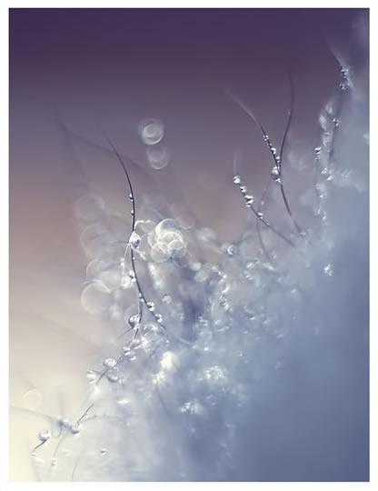 La sélection Pixfan 500px #2