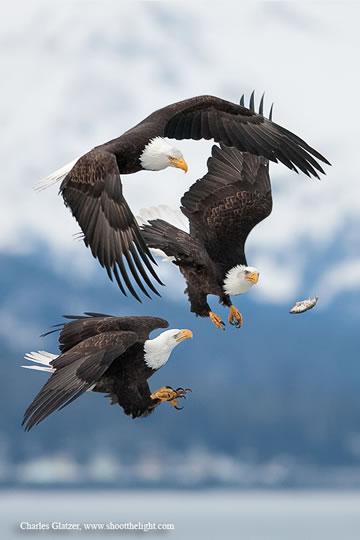 La sélection Pixfan 500px #2