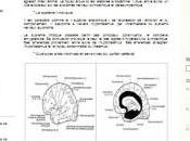 blog acouphènes plus populaire blogosphère