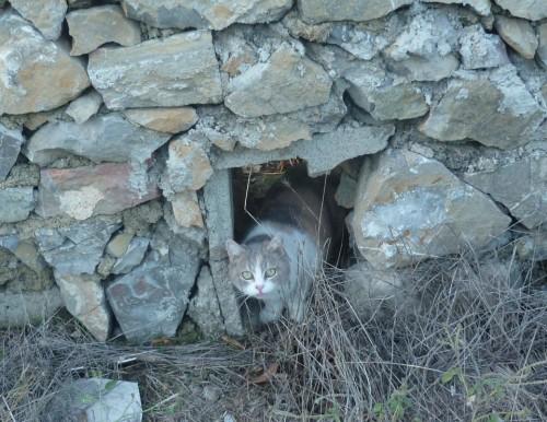 blogs,société,écriture,loisirs,promenade