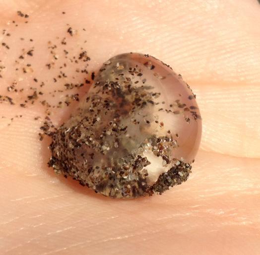 Saaan Fraaanciscooo!