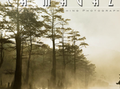 you’re sexy t’es