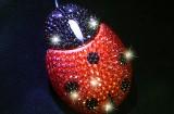 USBBlingBlingLadybugOpticalMouse 1 640 160x105 Cest la souris dont vous rêviez