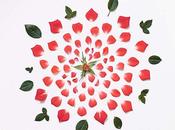 Dites-le avec fleurs dans gueule.