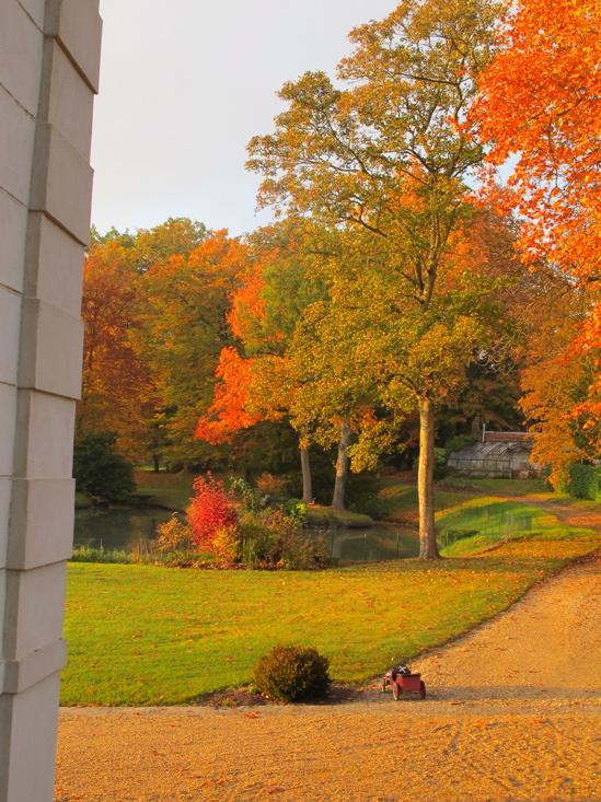Lumière d’automne, lumière de dingue