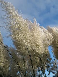 La Normandie sous le soleil