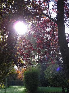 La Normandie sous le soleil