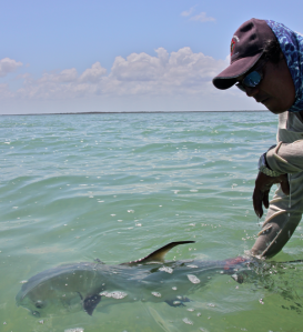 JUST FOR PLEASURE  / JUSTE POUR LE PLAISIR