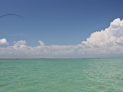 Just pleasure juste pour plaisir