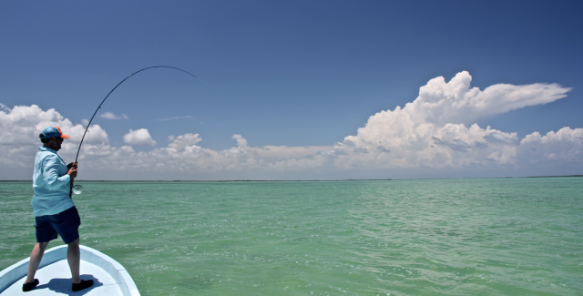 JUST FOR PLEASURE  / JUSTE POUR LE PLAISIR