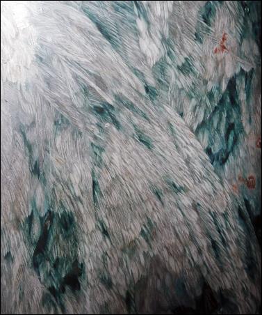 Plumage vs ramage et le corbeau jura…