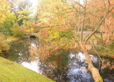 Qui n’aime pas l’automne!