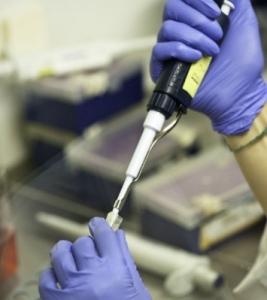 BIOLOGISTES et FMC: Médecins ou pharmaciens, mais tous dans l’attente d’un dispositif spécifique – Syndicat des biologistes