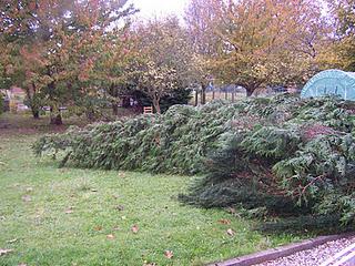 Objectif : Abattre des arbres (1ère partie)