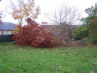 Objectif : Abattre des arbres (1ère partie)