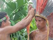 Sauvegarder savoir indigène Amazonie