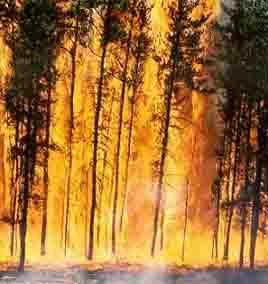 la-reunion-incendie-ravage-population-moyens