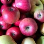 La Recette du cahier de Mélody : la gelée de pommes au safran