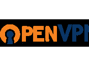 Installer OpenVPN neufbox avec OB4-FULL+USB
