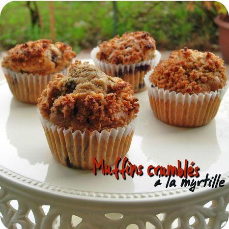 muffins crumblés (scrap2)