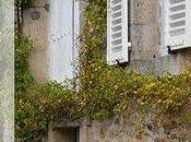 &nbsp; ESCAPADE mettre Vert quelques jours