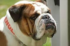 A quoi ressemble le couple franco-allemand?