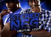 Stereo Digital 12.0 (2011)