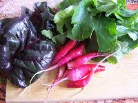 Sauce aux radis d'hiver et fanes de betterave