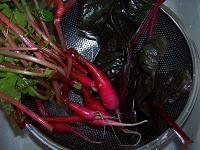 Sauce aux radis d'hiver et fanes de betterave