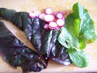 Sauce aux radis d'hiver et fanes de betterave