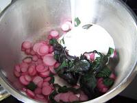 Sauce aux radis d'hiver et fanes de betterave