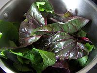 Sauce aux radis d'hiver et fanes de betterave